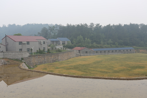 水稻种植91视频最新地址